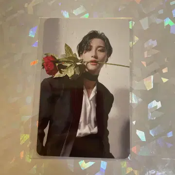 ateez wonderwall 송파 장미