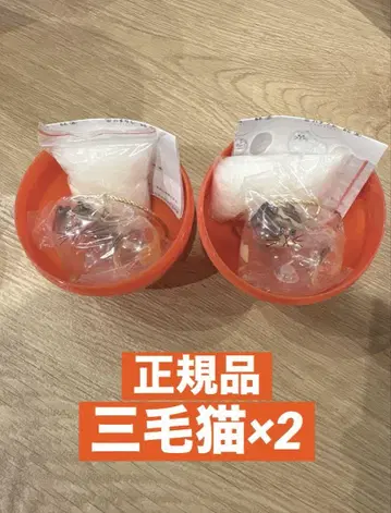 삼색 고양이 2개 세트 우리 집 고양이 가챠 캡슐 토이 정품