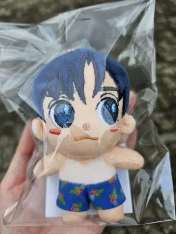 CNBLUE 용화 서울 봉제 인형 키링