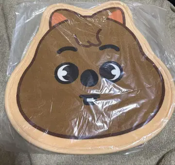 SKZOO 한쿼카 카펫