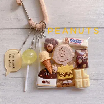 가챠 파우치 PEANUTS
