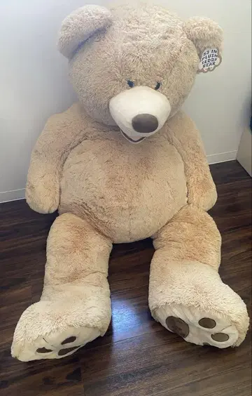 Costco 테디베어 곰 봉제 인형