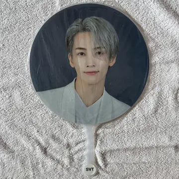 SEVENTEEN 세부치 정한 ode to you seoul 부채