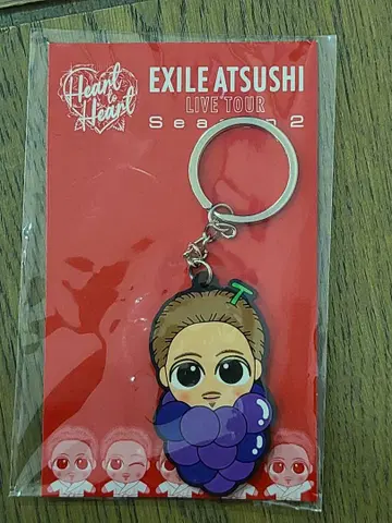 EXILE ATSUSHI 지역 특산품 스나짱 키링 야마나시
