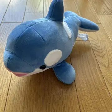 KOBE SUMA SEA WORLD 샤치 봉제 인형 4등 블루