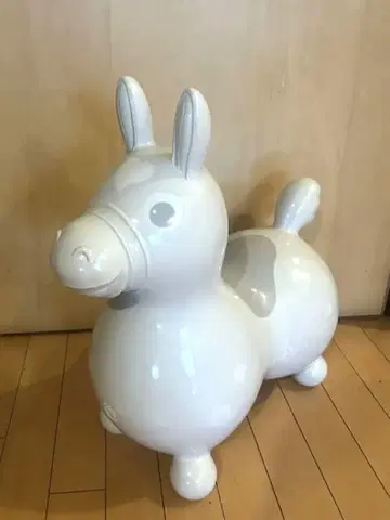 RODY 로디 그레이 귀중품