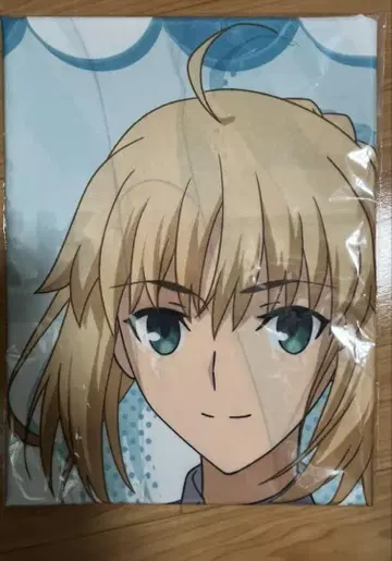 Fate/stay night 세이버 노보리