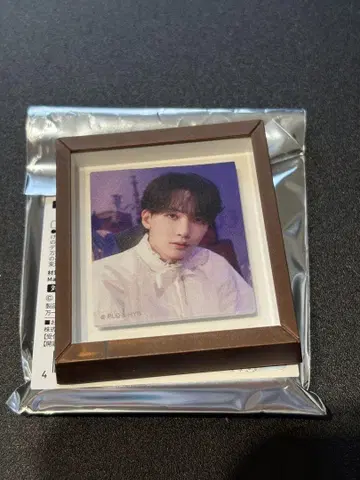 SEVENTEEN MUSEUM 2024 프레임 마그넷 정한