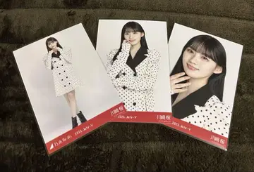 카와사키 벚꽃 도트 컴프