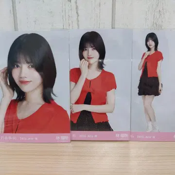 프릴 미니 스커트 하야시 루나