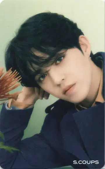 SEVENTEEN 혼자가 아니야 S.COUPS 트레이딩 카드