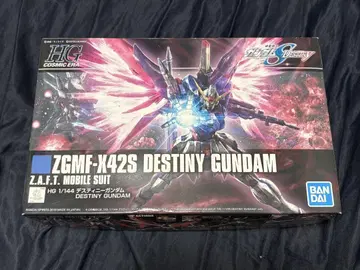 HG 1/144 데스티니 건담