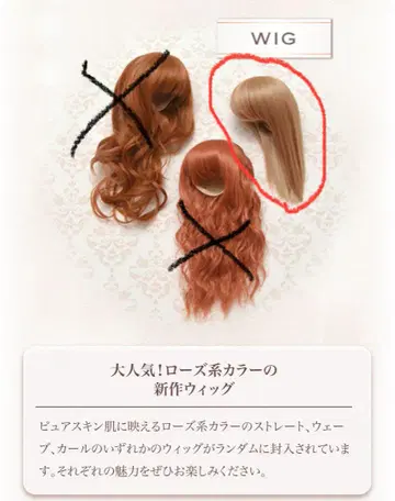 보크스 SD 스탠다드 모델 가발만