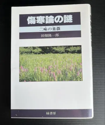 상한론의 수수께끼 - 다바타 류이치로 지음