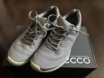 ECCO 그레이 신발