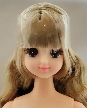 리카짱의 즐거운 인형 마린 제니 친구 리카짱 캐슬