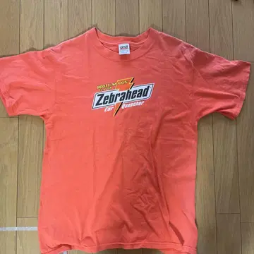 Zebrahead 티셔츠 오렌지