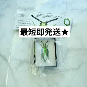 가챠 독일 상자 마그넷 컬렉션 4 야마토 타마무시