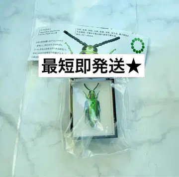 가챠 독일 상자 마그넷 컬렉션 4 야마토 타마무시