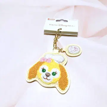 쿠키 앤 키체인