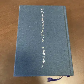 카네코 아야노 시집 나의 새하얀색과 금색