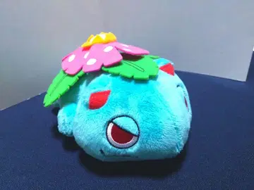 후시기바나 봉제 인형 포켓몬 센터