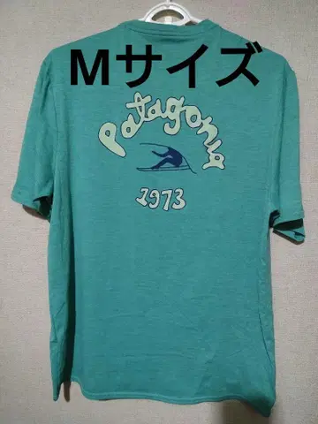 Patagonia 파타고니아 속건성 티셔츠 M 사이즈