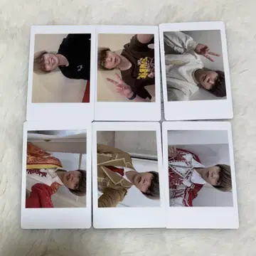 아즈 하피카 팬더 드래곤