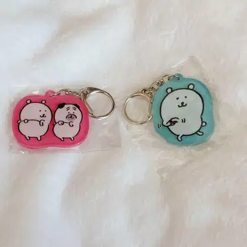 나가노의 곰 아크릴 키링