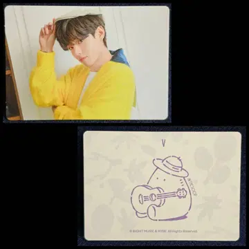 BTS IN THE SOOP 평창 호텔 숙박 혜택 공식 트레이딩 카드 V
