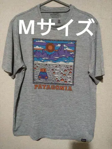 Patagonia M 사이즈 캐플린 티셔츠 그레이