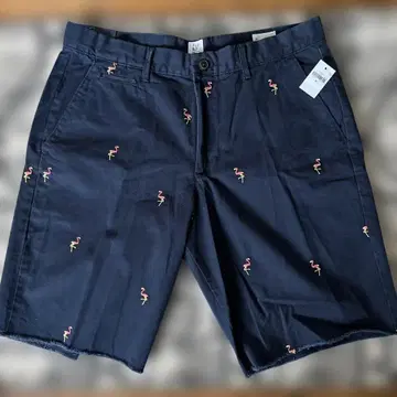 GAP 남성용 쇼트 팬츠 플라밍고 패턴