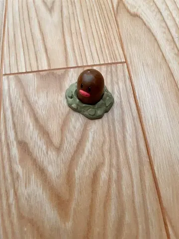 몬콜레 디그다
