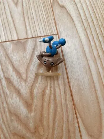 몬콜레 카포에라