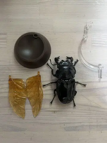 부속품 완비 및 거의 미사용! 생물대도감 타란두스 오오츠야 사슴벌레