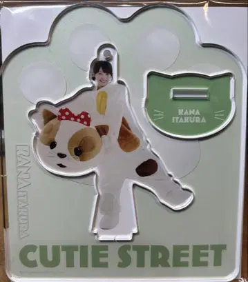 KANA ITAKURA CUTIE STREET 고양이 인형옷