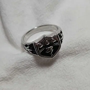 가정교사 히트맨 REBORN! 봉고레 반지 아라시