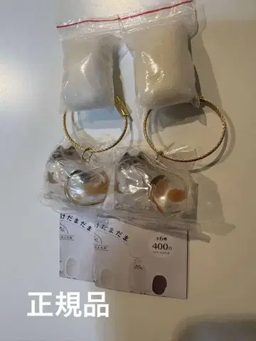 우리 아이의 털뭉치 미케 삼색 고양이