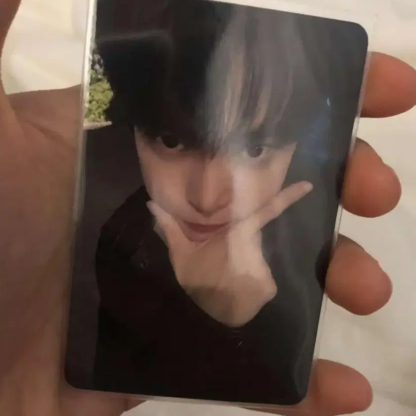NCT | 엔시티 NCT Doyoung photocard on Bunjang Global Site.