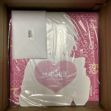 츠지나카 미호 피규어 다니마루