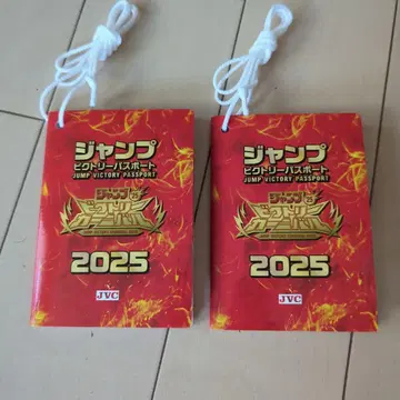 점프 빅토리 카니발 여권