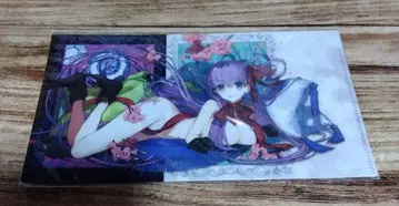 와다 아루코 전 FGO 티켓 홀더 BB
