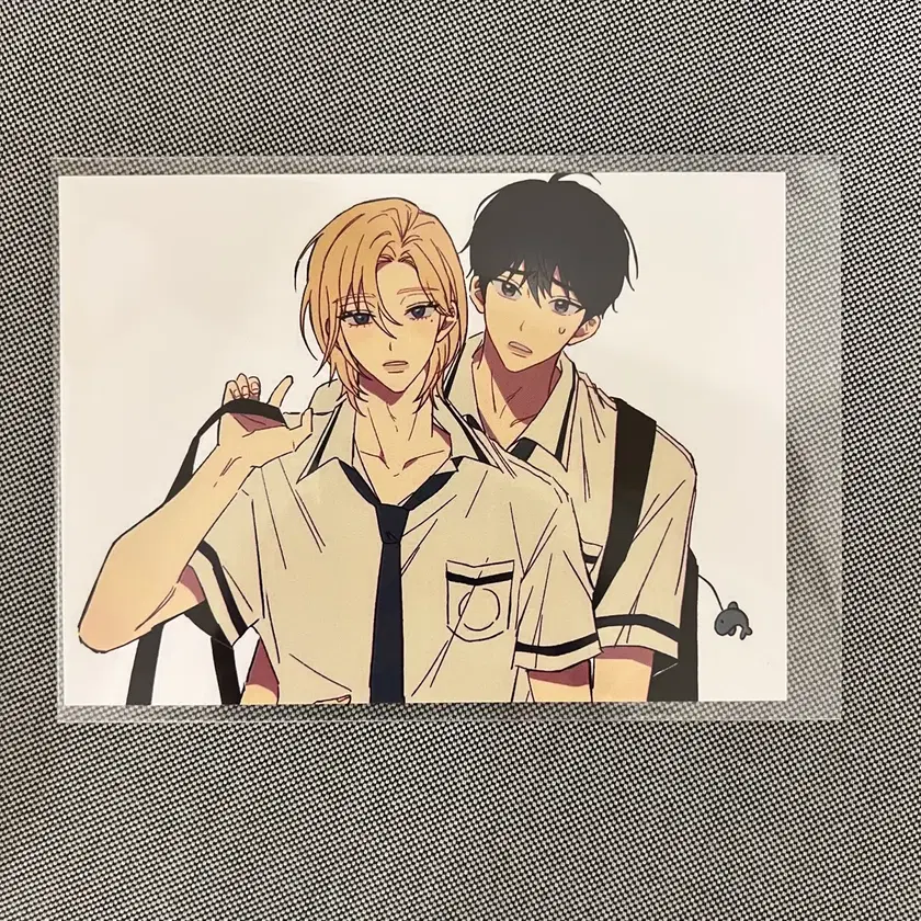 PLAVE プレイブ weverse ユニバーサル　ノア　直筆サイン　トレカ PLAVE プレイブ ノア かくれんぼ Weverse ラキドロ 特典 トレカ