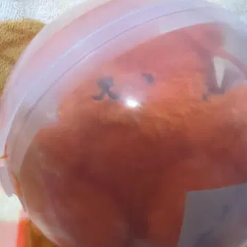 토아이 씨, 가챠가챠, 버그 베어