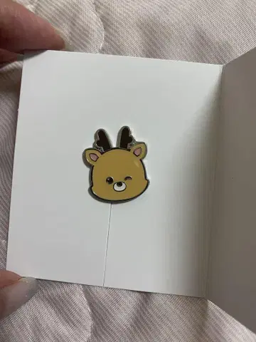 RIIZE SUNGCHAN 랜덤 참 2개 세트