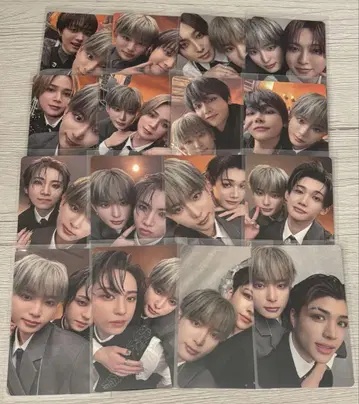 하루아 케미 트레이딩 카드 월 늑대