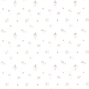 아미마루 님 야마우치 사키나 폴라로이드 3장