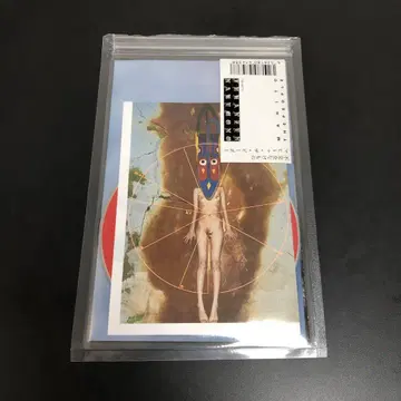 마히투 더 피포 불완전한 짐승 CD 스페셜 패키지 GEZAN 시모야마