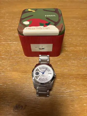FOSSIL TWIST 실버 시계