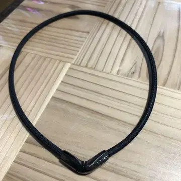 팬텐 스포츠 목걸이